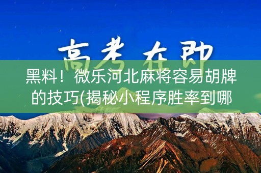 黑料！微乐河北麻将容易胡牌的技巧(揭秘小程序胜率到哪调)