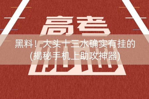 黑料！大头十三水确实有挂的(揭秘手机上助攻神器)