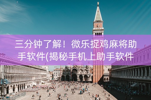 三分钟了解！微乐捉鸡麻将助手软件(揭秘手机上助手软件)