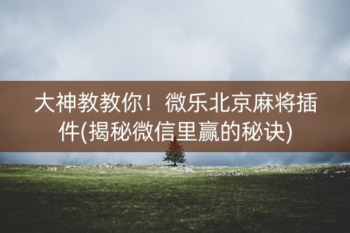 大神教教你！微乐北京麻将插件(揭秘微信里赢的秘诀)