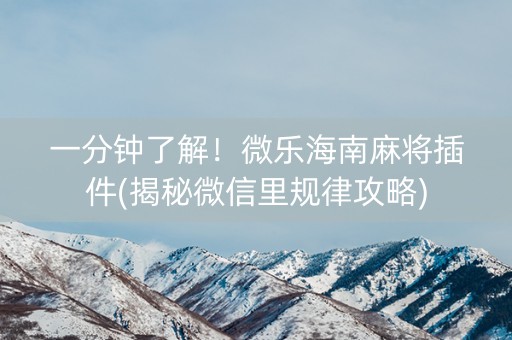 一分钟了解！微乐海南麻将插件(揭秘微信里规律攻略)
