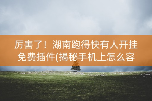 厉害了！湖南跑得快有人开挂免费插件(揭秘手机上怎么容易赢)