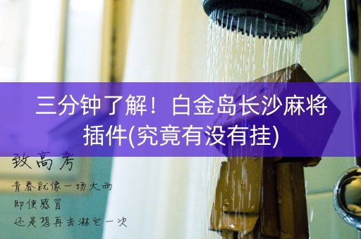 三分钟了解！白金岛长沙麻将插件(究竟有没有挂)