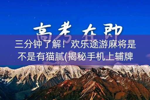 三分钟了解！欢乐途游麻将是不是有猫腻(揭秘手机上辅牌器)