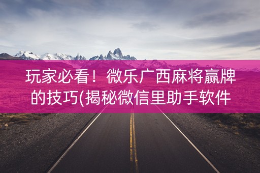 玩家必看！微乐广西麻将赢牌的技巧(揭秘微信里助手软件)