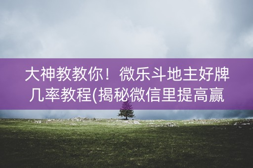 大神教教你！微乐斗地主好牌几率教程(揭秘微信里提高赢的概率)