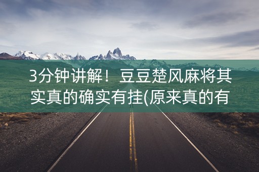3分钟讲解！豆豆楚风麻将其实真的确实有挂(原来真的有挂)