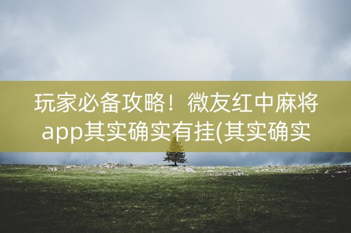 玩家必备攻略！微友红中麻将app其实确实有挂(其实确实有挂)