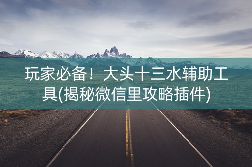 玩家必备！大头十三水辅助工具(揭秘微信里攻略插件)