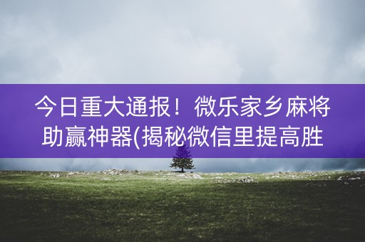 今日重大通报！微乐家乡麻将助赢神器(揭秘微信里提高胜率)