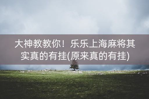 大神教教你！乐乐上海麻将其实真的有挂(原来真的有挂)