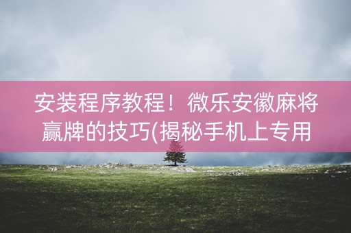 安装程序教程！微乐安徽麻将赢牌的技巧(揭秘手机上专用神器下载)