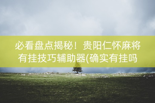 必看盘点揭秘！贵阳仁怀麻将有挂技巧辅助器(确实有挂吗)