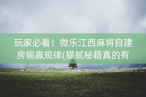 玩家必看！微乐江西麻将自建房输赢规律(猫腻秘籍真的有挂)