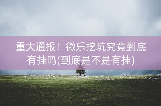 重大通报！微乐挖坑究竟到底有挂吗(到底是不是有挂)