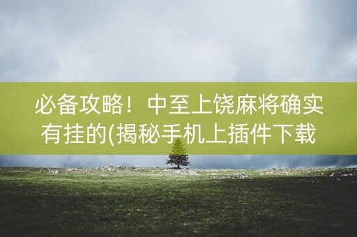 必备攻略！中至上饶麻将确实有挂的(揭秘手机上插件下载)