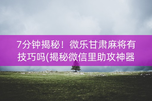 7分钟揭秘！微乐甘肃麻将有技巧吗(揭秘微信里助攻神器)