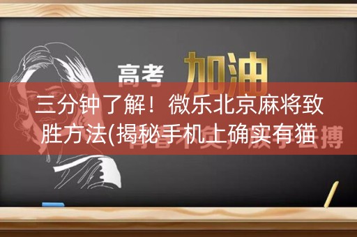 三分钟了解！微乐北京麻将致胜方法(揭秘手机上确实有猫腻)