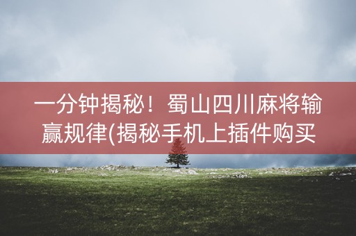 一分钟揭秘！蜀山四川麻将输赢规律(揭秘手机上插件购买)