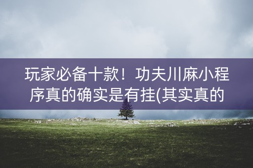 玩家必备十款！功夫川麻小程序真的确实是有挂(其实真的确实有挂)