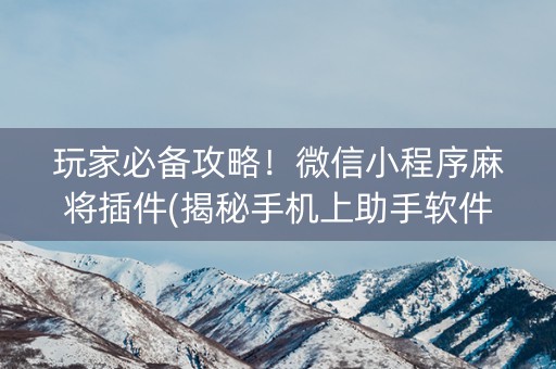 玩家必备攻略！微信小程序麻将插件(揭秘手机上助手软件)