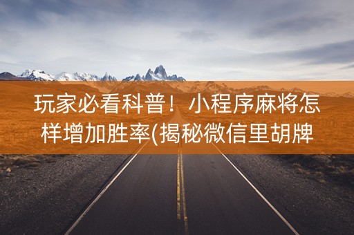 玩家必看科普！小程序麻将怎样增加胜率(揭秘微信里胡牌神器)