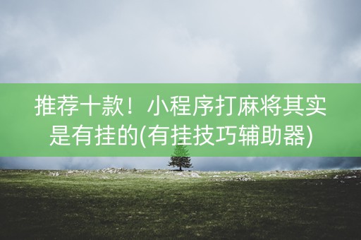 推荐十款！小程序打麻将其实是有挂的(有挂技巧辅助器)