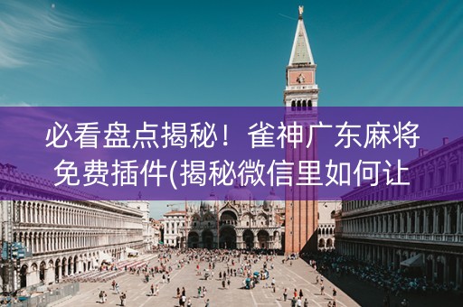 必看盘点揭秘！雀神广东麻将免费插件(揭秘微信里如何让牌变好)