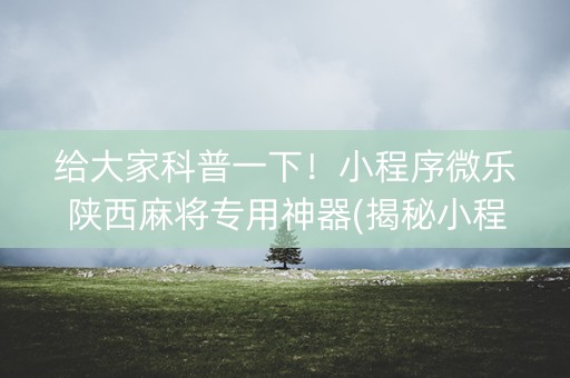 给大家科普一下！小程序微乐陕西麻将专用神器(揭秘小程序确实有猫腻)