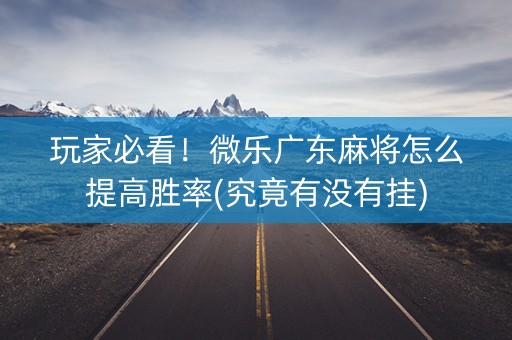 玩家必看！微乐广东麻将怎么提高胜率(究竟有没有挂)