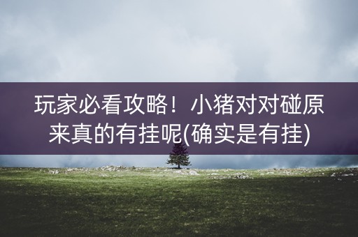 玩家必看攻略！小猪对对碰原来真的有挂呢(确实是有挂)