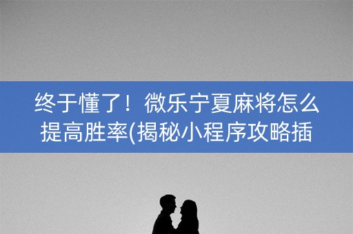 终于懂了！微乐宁夏麻将怎么提高胜率(揭秘小程序攻略插件)