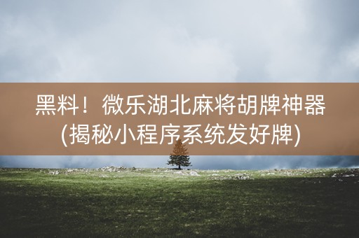 黑料！微乐湖北麻将胡牌神器(揭秘小程序系统发好牌)