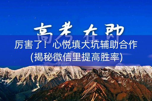 厉害了！心悦填大坑辅助合作(揭秘微信里提高胜率)