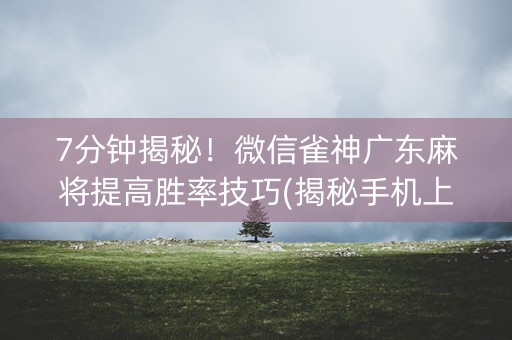 7分钟揭秘！微信雀神广东麻将提高胜率技巧(揭秘手机上赢牌的技巧)