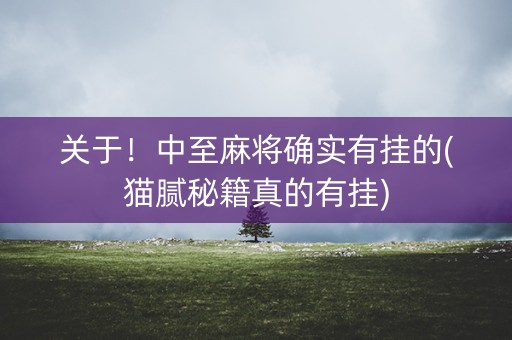 关于！中至麻将确实有挂的(猫腻秘籍真的有挂)