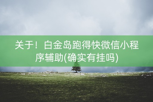 关于！白金岛跑得快微信小程序辅助(确实有挂吗)