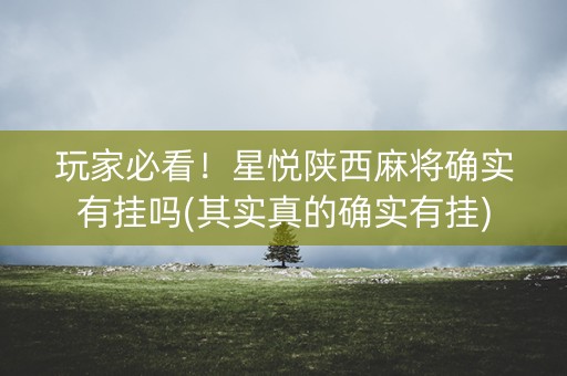 玩家必看！星悦陕西麻将确实有挂吗(其实真的确实有挂)