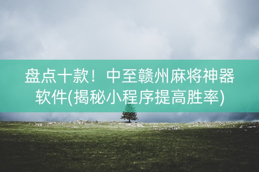 盘点十款！中至赣州麻将神器软件(揭秘小程序提高胜率)