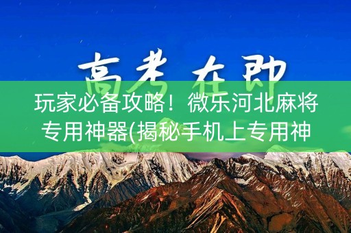 玩家必备攻略！微乐河北麻将专用神器(揭秘手机上专用神器)