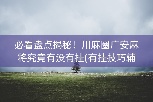 必看盘点揭秘！川麻圈广安麻将究竟有没有挂(有挂技巧辅助器)