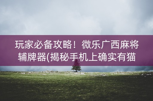 玩家必备攻略！微乐广西麻将辅牌器(揭秘手机上确实有猫腻)