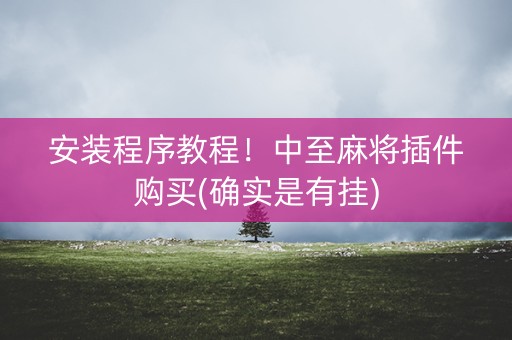 安装程序教程！中至麻将插件购买(确实是有挂)