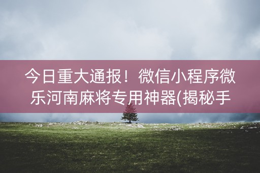 今日重大通报！微信小程序微乐河南麻将专用神器(揭秘手机上如何让牌变好)