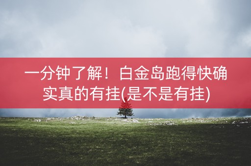 一分钟了解！白金岛跑得快确实真的有挂(是不是有挂)