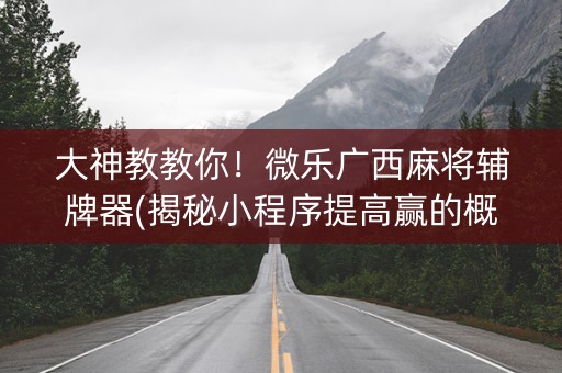大神教教你！微乐广西麻将辅牌器(揭秘小程序提高赢的概率)