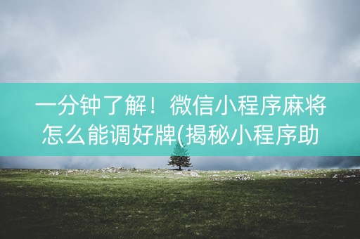 一分钟了解！微信小程序麻将怎么能调好牌(揭秘小程序助赢软件)