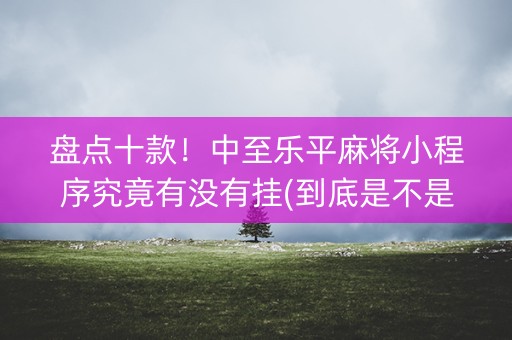 盘点十款！中至乐平麻将小程序究竟有没有挂(到底是不是有挂)