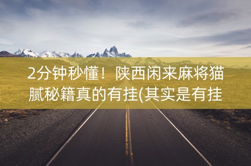 2分钟秒懂！陕西闲来麻将猫腻秘籍真的有挂(其实是有挂的)