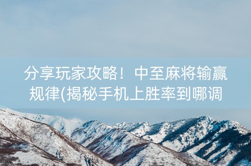 分享玩家攻略！中至麻将输赢规律(揭秘手机上胜率到哪调)